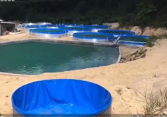 Akuarium Lembar Galvanis Tangki Ikan Tarpaulin 50000 Liter