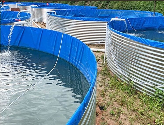 Akuarium Kolam ikan polietilen dengan lembaran galvanis 10M D 1.20M H