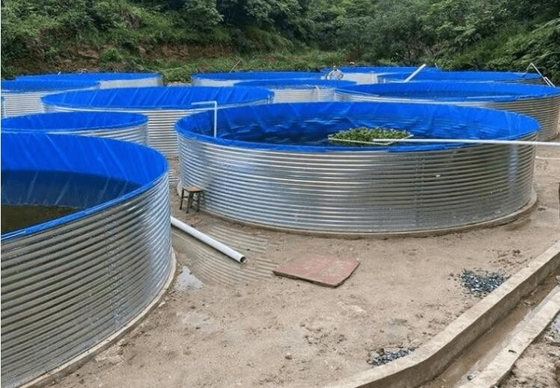 Akuarium Kolam ikan polietilen dengan lembaran galvanis 10M D 1.20M H