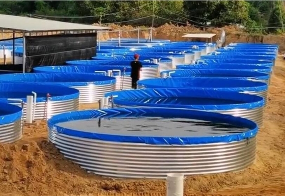 Akvarium Lembar Galvanis Tangki Penanaman Ikan Tarpaulin 30M Diameter Besar