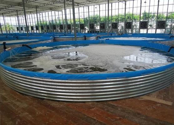 Akvarium Lembar Galvanis Tangki Penanaman Ikan Tarpaulin 30M Diameter Besar