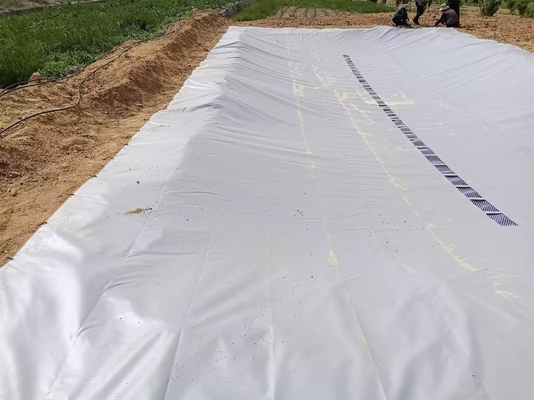 PVC Tarpaulin Lipat Perkebunan Pengumpulan Air Hujan Bladder