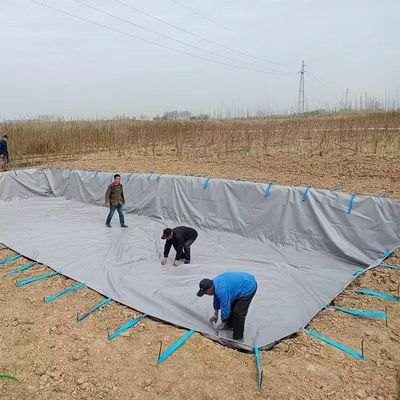 PVC Tarpaulin Lipat Perkebunan Pengumpulan Air Hujan Bladder