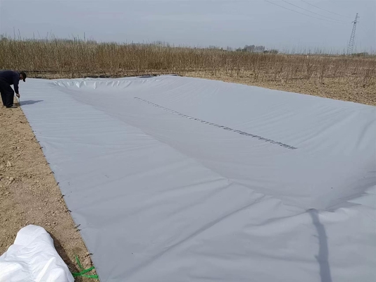 PVC Tarpaulin Lipat Perkebunan Pengumpulan Air Hujan Bladder