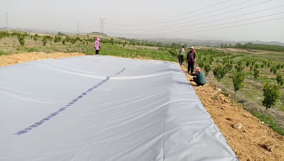 Tangki penyimpanan air hujan PVC untuk irigasi pertanian