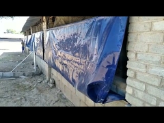 Sisi Tirai untuk Ayam, Bayangan, dan Gudang Sapi