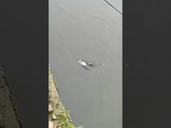 Umpan Pancing Umpan Lapisan Renang Penuh Umpan Palsu Air Laut Dan Air Tawar