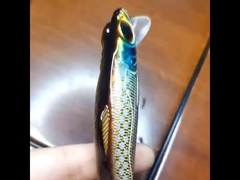 Umpan Plastik Memancing Laut Jauh Melempar Umpan Keras