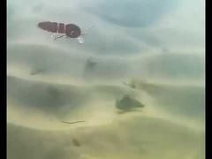 Umpan Cacing Darah Lure Renang Penuh Minnow Multi Sambungan Umpan Pancing