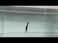 Umpan Lunak Tiruan Silikon PVC Loach Soft Lures untuk Memancing