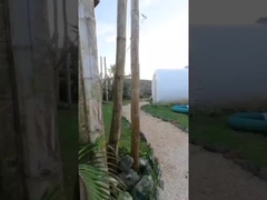 Kamar Hotel Rumah Luar Ruangan Tenda Gelembung Inflatable